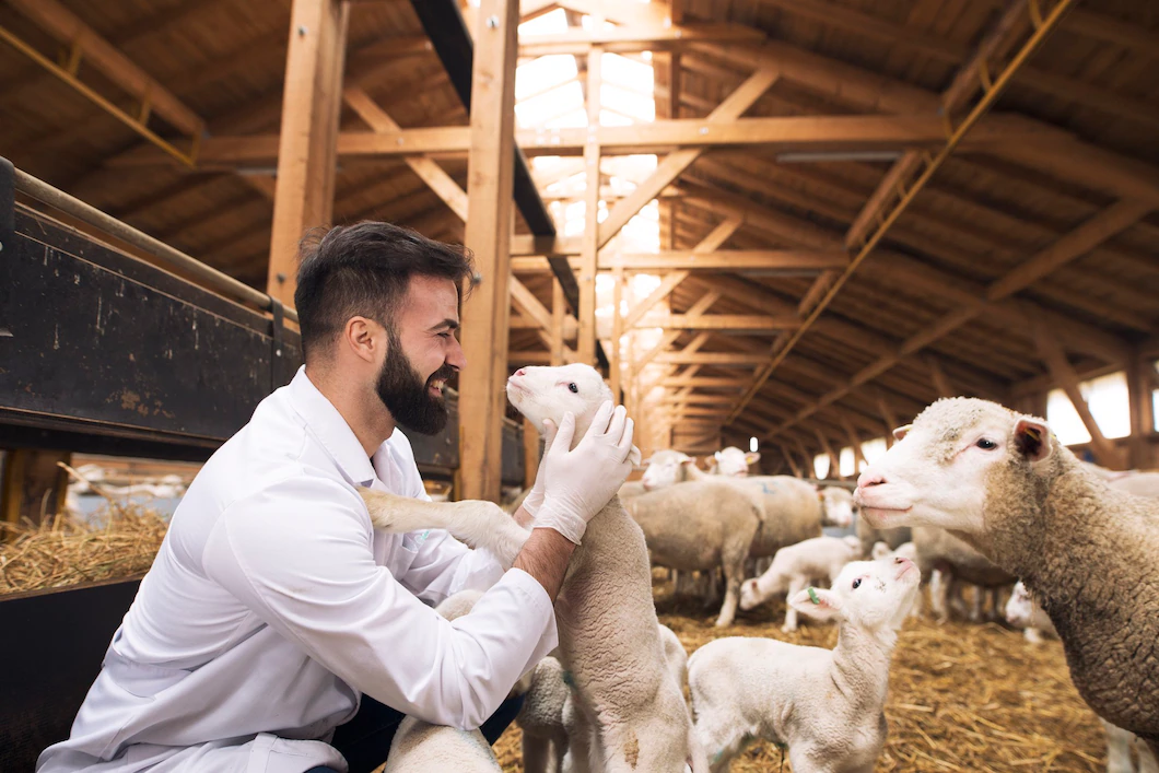 Tierarztausbildung: Wie kann man ein Tierarzt werden? - GoWork DE Blog