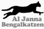 Bewertungen Bengalkatzen "Al Janna" Anja & Michelle Patz