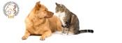 Bewertungen Mobile Tierheilbehandlung, Psychologie und Verhaltensberatung für Katzen Ute Ringleb
