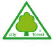 Bewertungen city forest