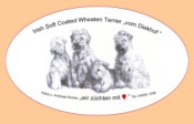 Bewertungen Irish Soft Coated Wheaten Terrier ''vom Diekhof''
